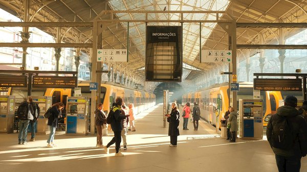 Dbp energie : découvrez des services pour un habitat durable